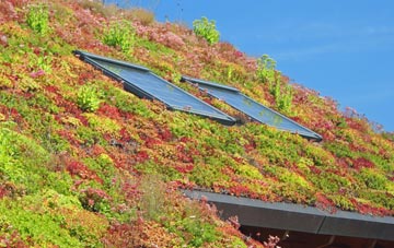 South Ambersham living roof systems
