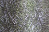 South Ambersham fibreglass roof work